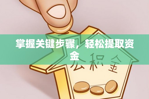 绥德掌握关键步骤，轻松提取资金