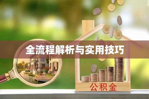 绥德全流程解析与实用技巧