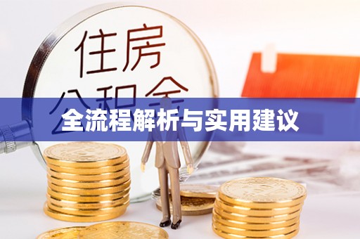 绥德全流程解析与实用建议
