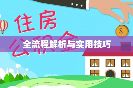 绥德全流程解析与实用技巧