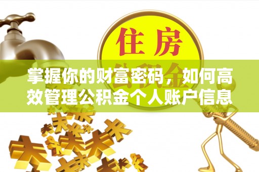 绥德掌握你的财富密码，如何高效管理公积金个人账户信息