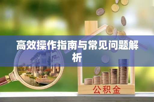 绥德高效操作指南与常见问题解析