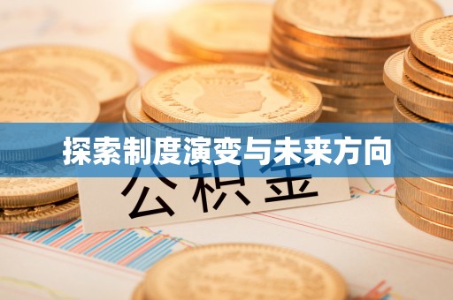 绥德探索制度演变与未来方向