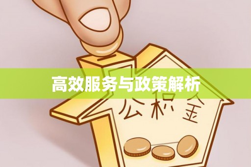 绥德高效服务与政策解析