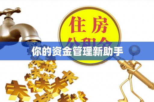 绥德你的资金管理新助手