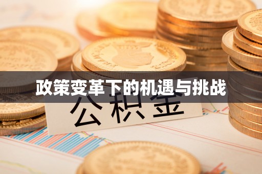 绥德政策变革下的机遇与挑战