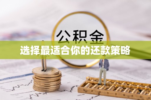绥德选择最适合你的还款策略