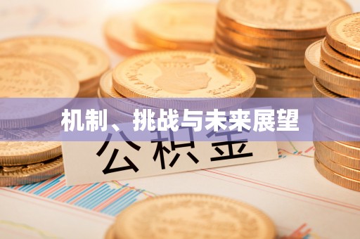 绥德机制、挑战与未来展望