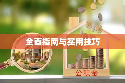 绥德全面指南与实用技巧