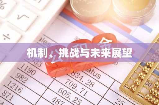 绥德机制、挑战与未来展望